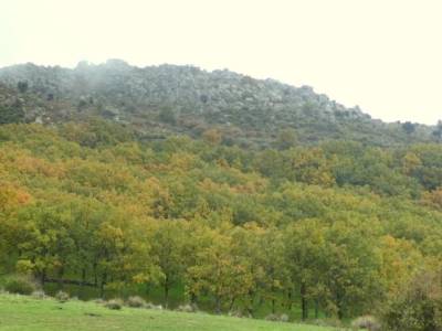 Las Machotas,Pico El Fraile-los Tres Ermitaños;valles del pirineo aragones pico del fraile garganta 